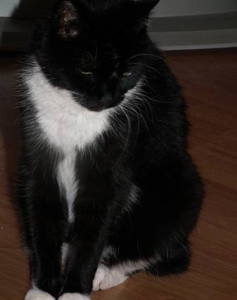 Bessi Boots- RIP - (16 ans)