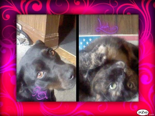 Romy & Leah - (6 ans)