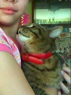 crevette - (2 ans)