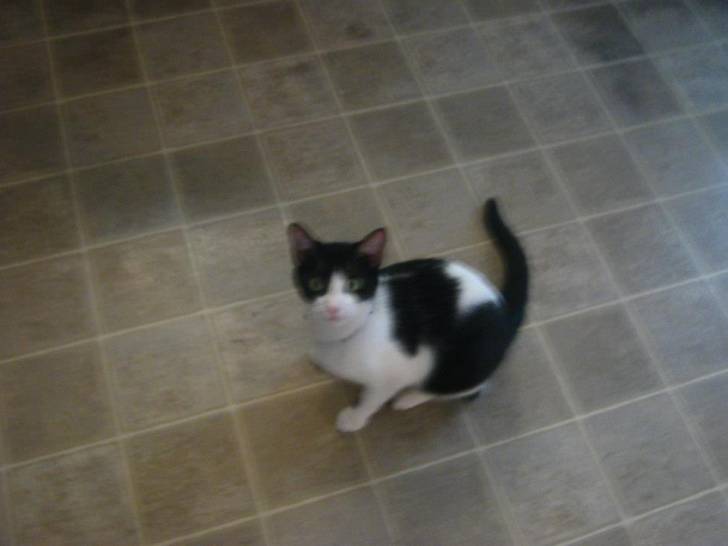 Precious - (3 ans)