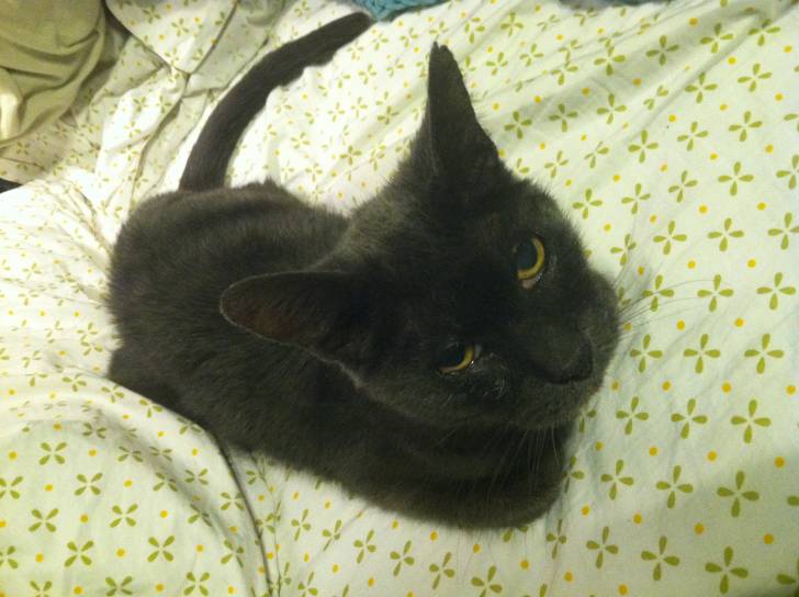 Sassy - (19 ans)