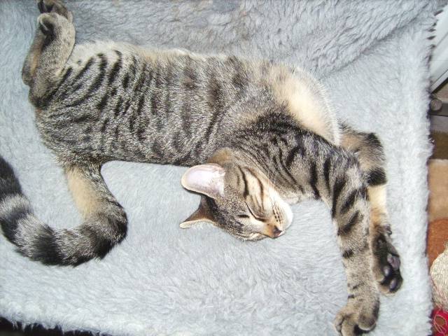 tu est dans un sommeil profond ! -
