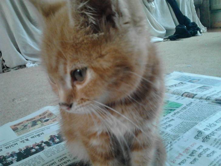 lucky - (7 mois)