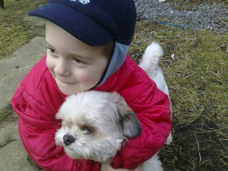Balou et Hugo - Mâle (6 ans)