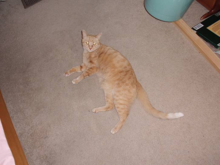 Keiko - (2 ans)