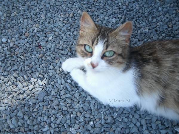 Etoile - (2 ans)