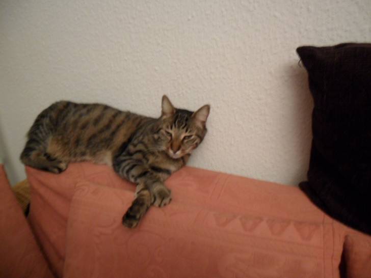 Süß - (21 ans)