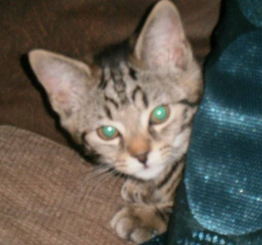 Izzy - (5 mois)