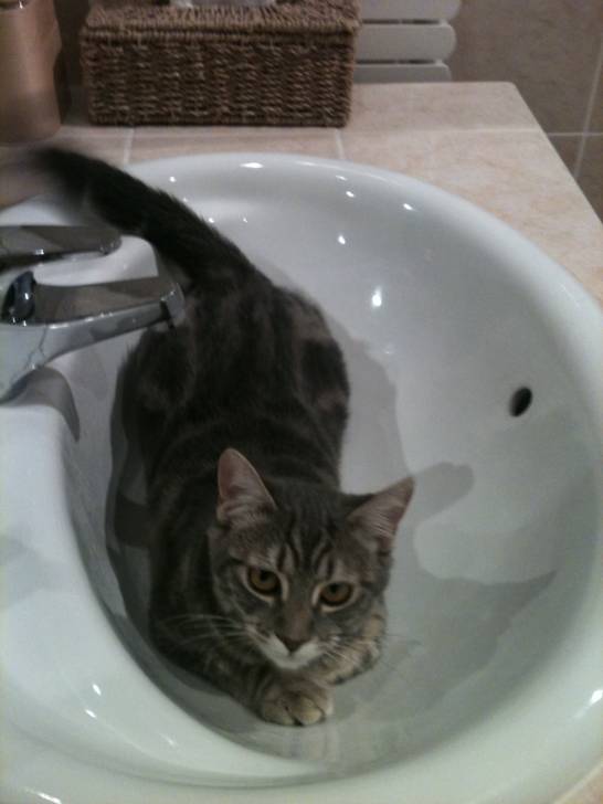 etoile - (2 ans)