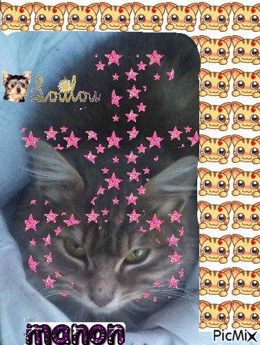 Kitty - (1 an)