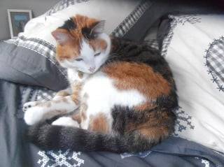 Curly - (4 ans)