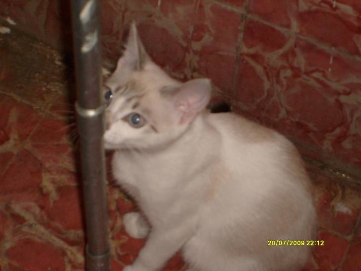Matrix - (3 ans)