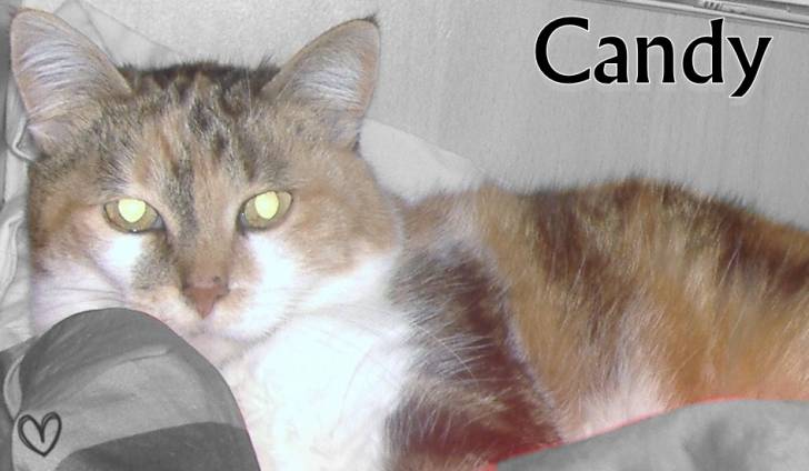 Candy - (17 ans)