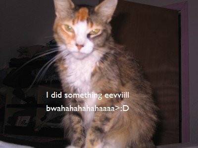 Lenor the second - (3 ans)