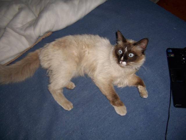 Miminne - (6 ans)