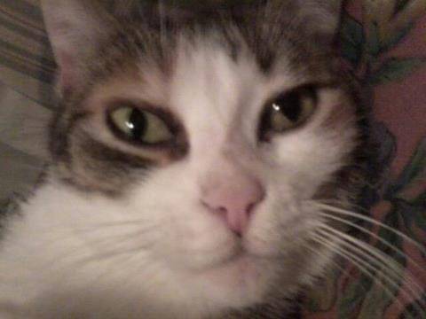 esmeraida - (8 ans)