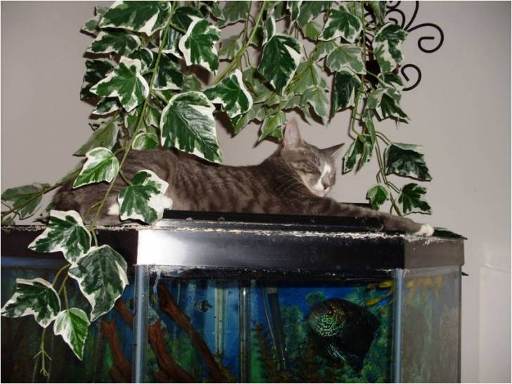 Molly et Jack - (2 ans)