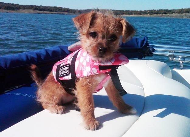 Cinnamon - (11 mois)
