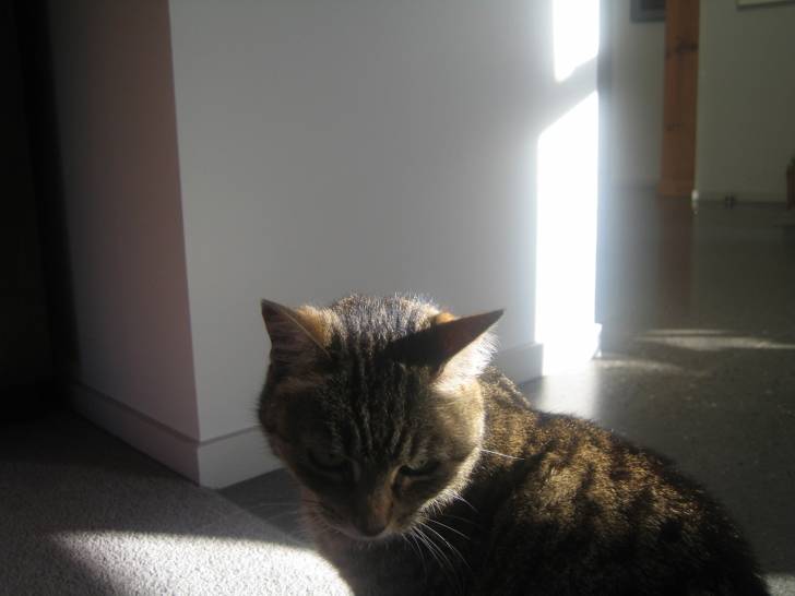 gert - (14 ans)