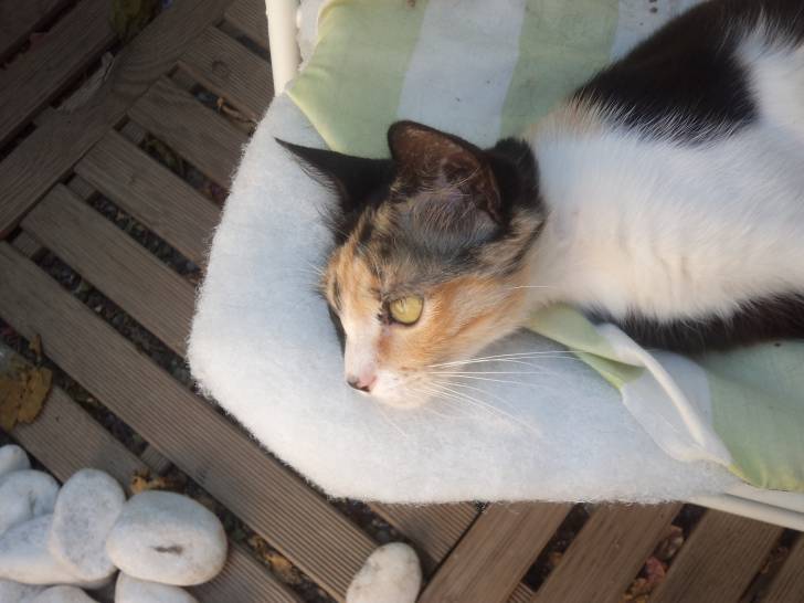 Poupounette - (2 ans)