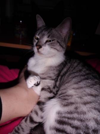 Fenta - (2 ans)