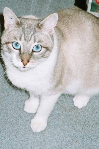 Daisy -