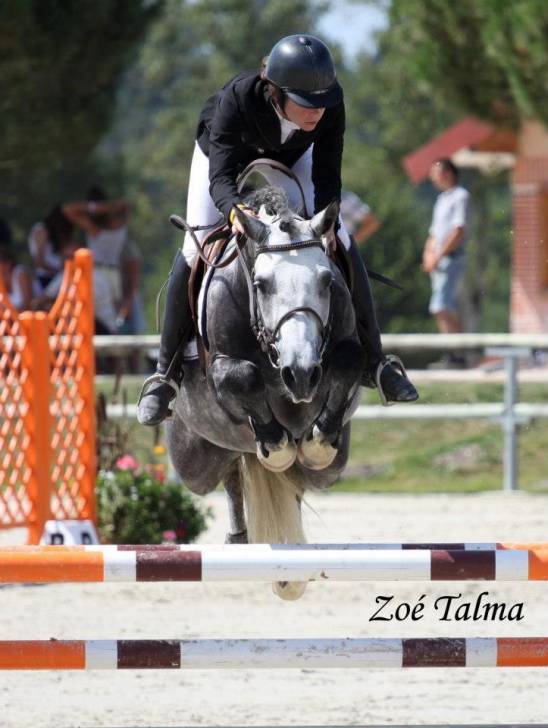 Rom Coco - Mâle (7 ans)