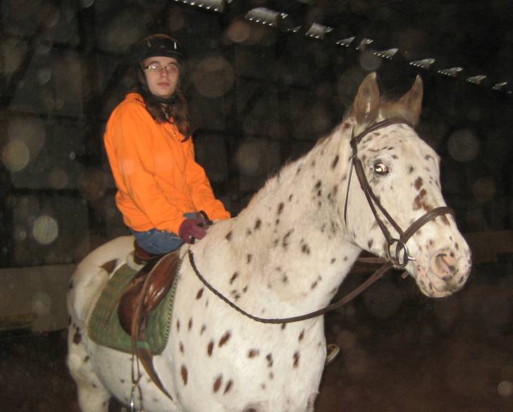 Chester - Mâle (24 ans)