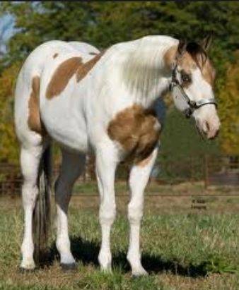 Sandy (Mom of Dock) - (4 ans)
