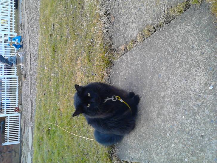 Fuffy - (8 ans)