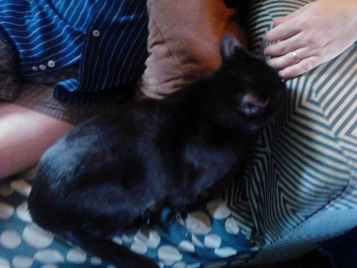 Chocolate - (3 ans)