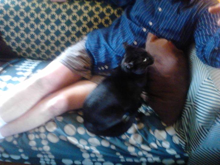 Chocolate - (3 ans)