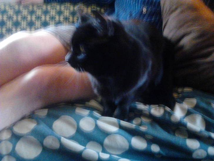 Chocolate - (3 ans)