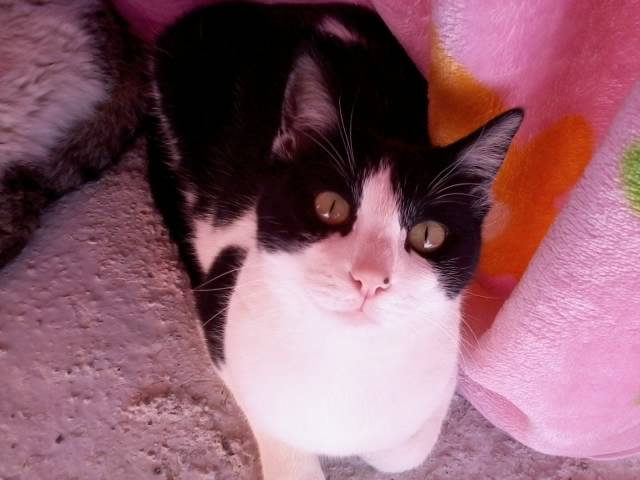 mi bicheira - (3 mois)