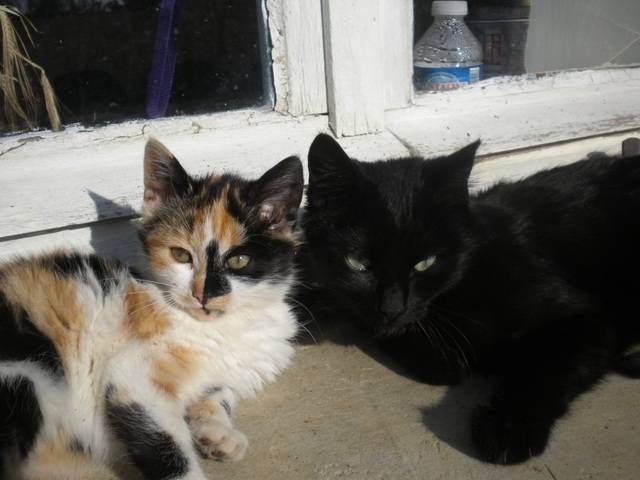 Mitoune et Satan -
