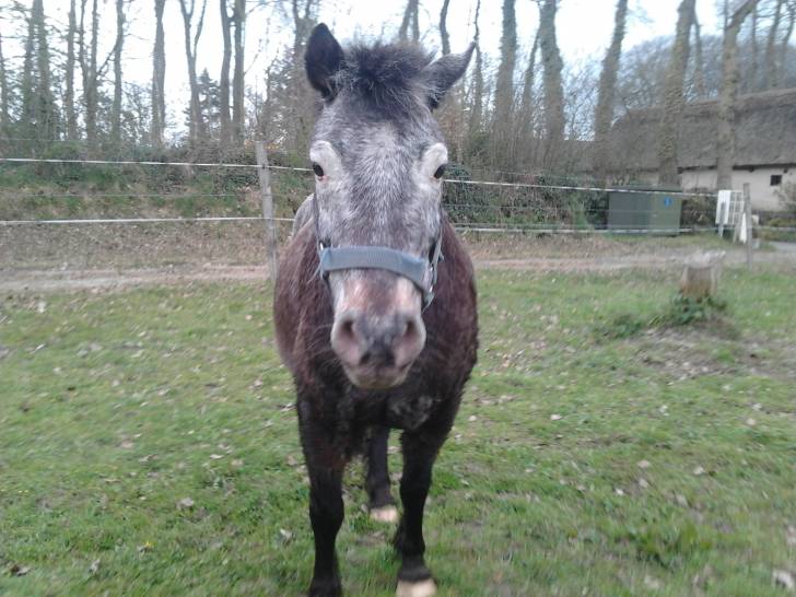 Ninon - (13 ans)
