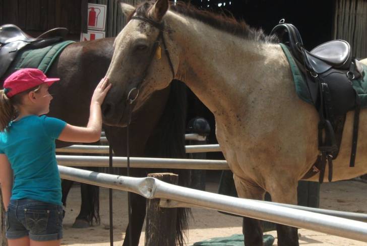 My cousin and Whisky - Mâle (7 ans)