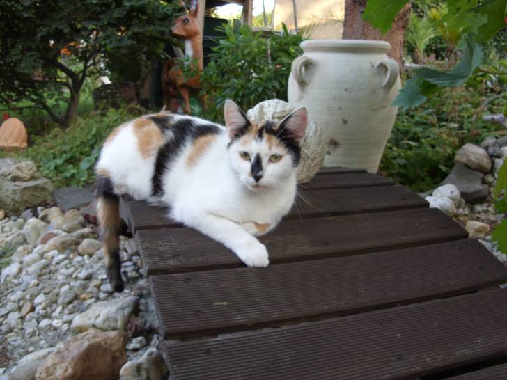 Lucy - (5 ans)