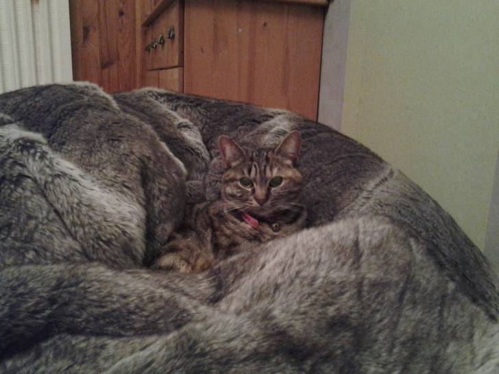 trop chou - (1 an)