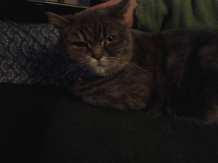 louna - (3 ans)