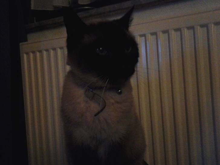 pastissou - (18 ans)
