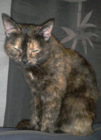 Lune - (3 ans)
