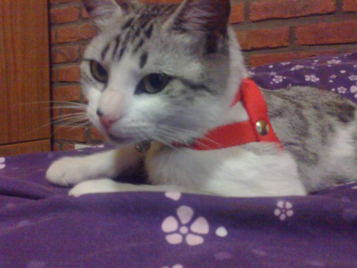 Fiona - (2 ans)