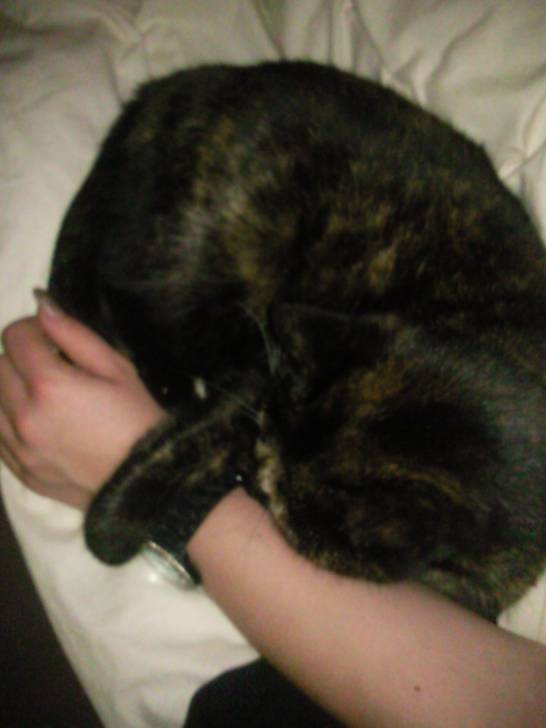 Lucy - (10 ans)