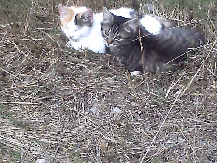 prince et louloute - (9 mois)