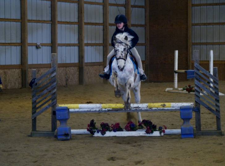 spot - Mâle (14 ans)