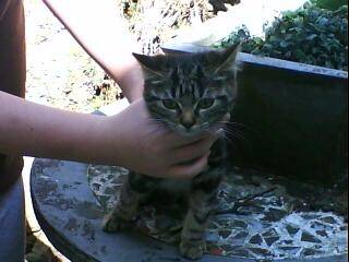 Princesse - (2 ans)