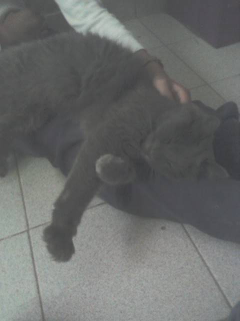 micha - (3 ans)