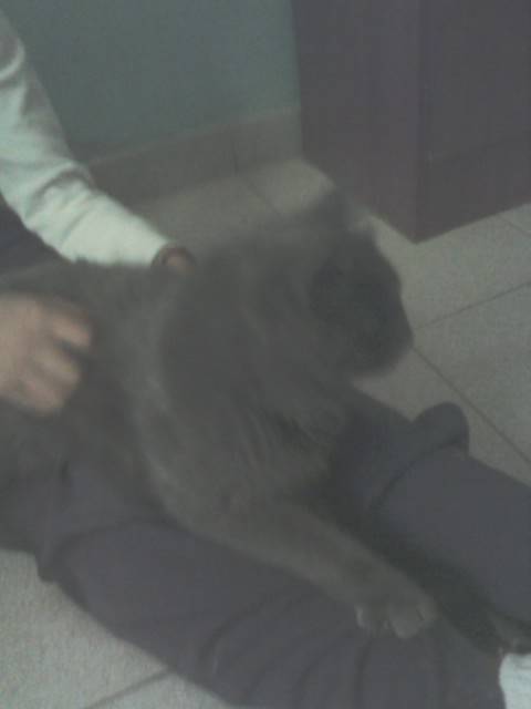micha - (3 ans)
