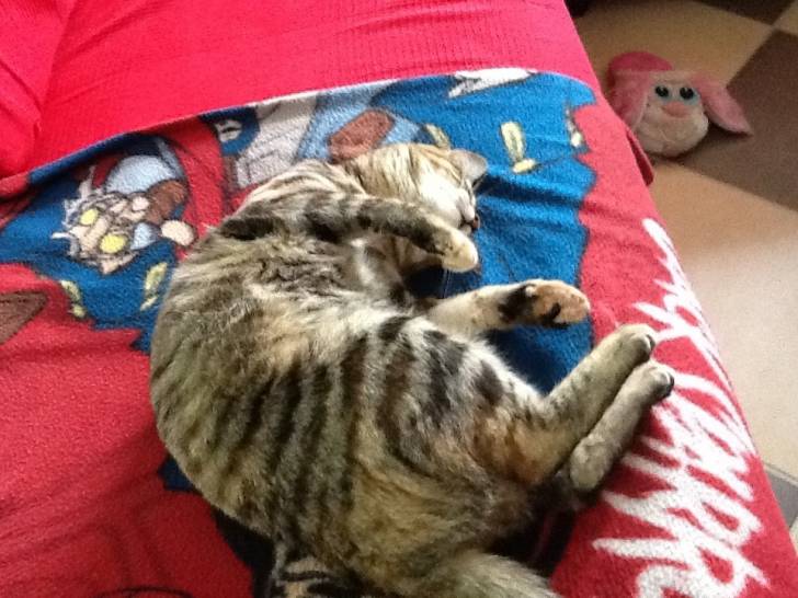 Louna - (7 mois)